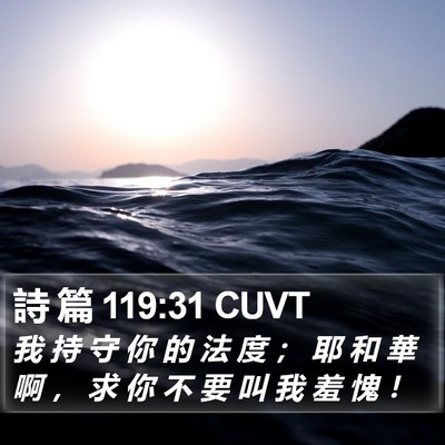 詩 篇 119:31 CUVT Bible Verse Image