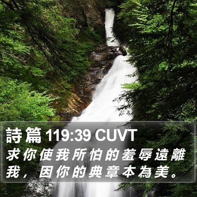 詩 篇 119:39 CUVT Bible Verse Image