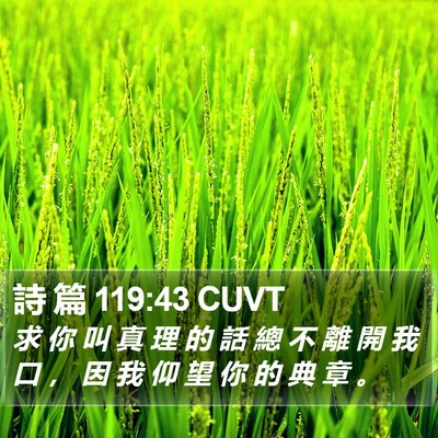 詩 篇 119:43 CUVT Bible Verse Image