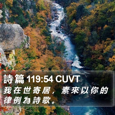 詩 篇 119:54 CUVT Bible Verse Image
