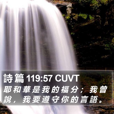 詩 篇 119:57 CUVT Bible Verse Image