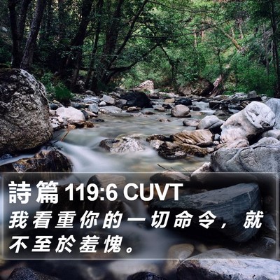 詩 篇 119:6 CUVT Bible Verse Image