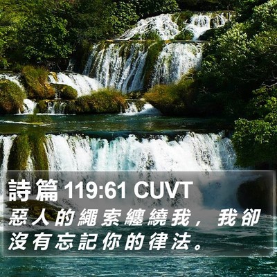 詩 篇 119:61 CUVT Bible Verse Image