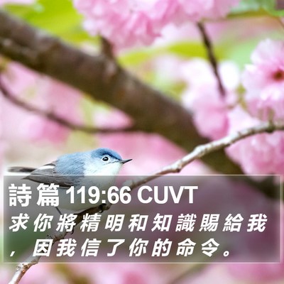 詩 篇 119:66 CUVT Bible Verse Image