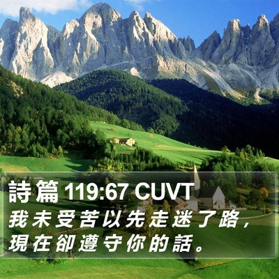 詩 篇 119:67 CUVT Bible Verse Image