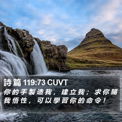 詩 篇 119:73 CUVT Bible Verse Image