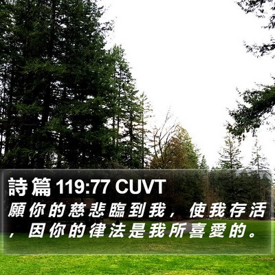 詩 篇 119:77 CUVT Bible Verse Image