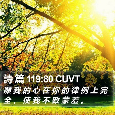 詩 篇 119:80 CUVT Bible Verse Image