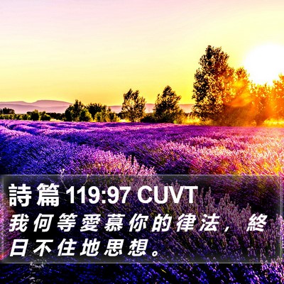 詩 篇 119:97 CUVT Bible Verse Image