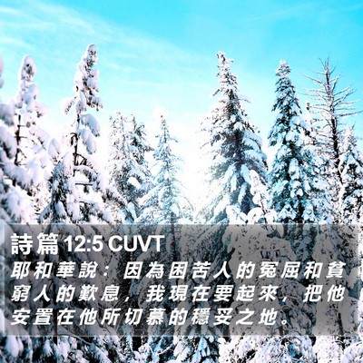 詩 篇 12:5 CUVT Bible Verse Image