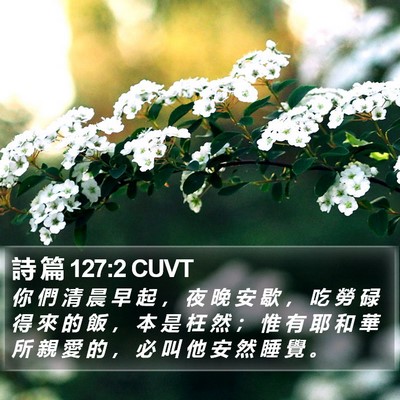 詩 篇 127:2 CUVT Bible Verse Image