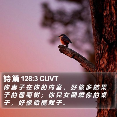 詩 篇 128:3 CUVT Bible Verse Image
