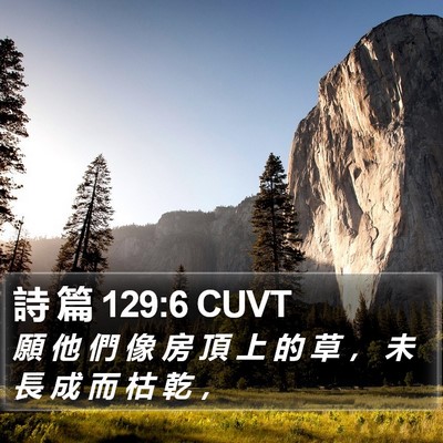 詩 篇 129:6 CUVT Bible Verse Image