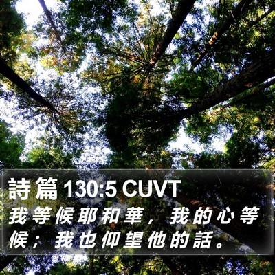 詩 篇 130:5 CUVT Bible Verse Image