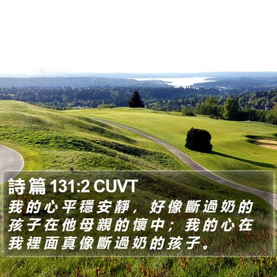 詩 篇 131:2 CUVT Bible Verse Image