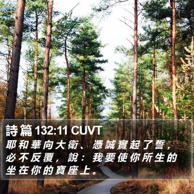 詩 篇 132:11 CUVT Bible Verse Image