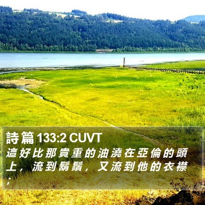 詩 篇 133:2 CUVT Bible Verse Image
