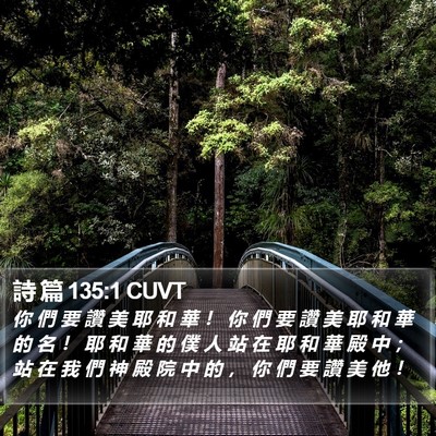 詩 篇 135:1 CUVT Bible Verse Image