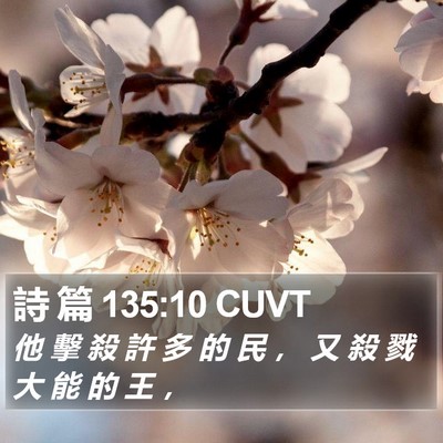 詩 篇 135:10 CUVT Bible Verse Image