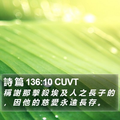 詩 篇 136:10 CUVT Bible Verse Image