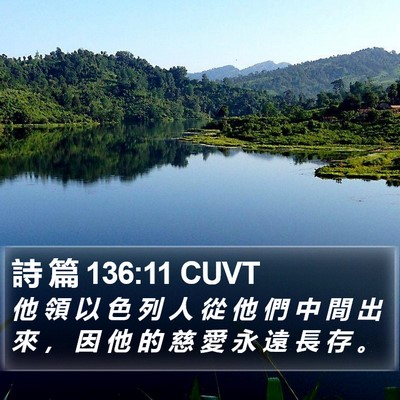詩 篇 136:11 CUVT Bible Verse Image