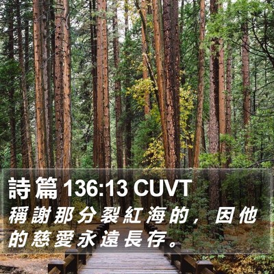 詩 篇 136:13 CUVT Bible Verse Image