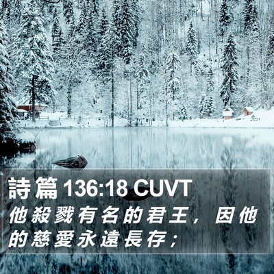 詩 篇 136:18 CUVT Bible Verse Image