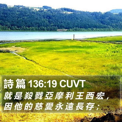 詩 篇 136:19 CUVT Bible Verse Image
