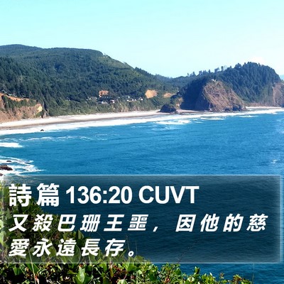 詩 篇 136:20 CUVT Bible Verse Image