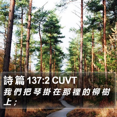 詩 篇 137:2 CUVT Bible Verse Image