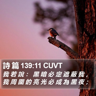 詩 篇 139:11 CUVT Bible Verse Image