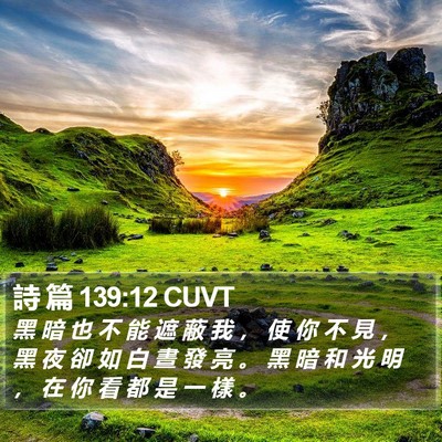 詩 篇 139:12 CUVT Bible Verse Image