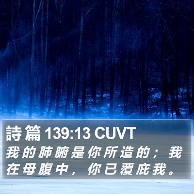 詩 篇 139:13 CUVT Bible Verse Image