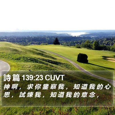 詩 篇 139:23 CUVT Bible Verse Image