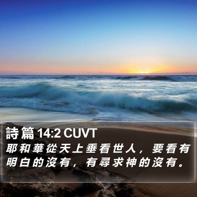 詩 篇 14:2 CUVT Bible Verse Image