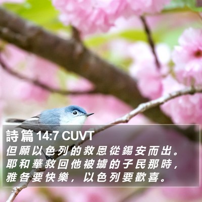 詩 篇 14:7 CUVT Bible Verse Image