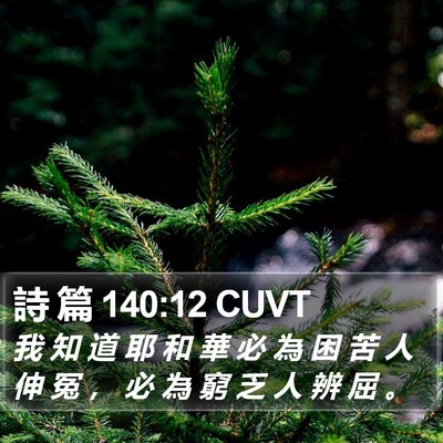 詩 篇 140:12 CUVT Bible Verse Image