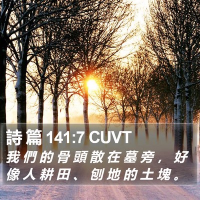 詩 篇 141:7 CUVT Bible Verse Image