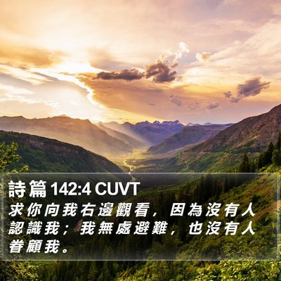 詩 篇 142:4 CUVT Bible Verse Image