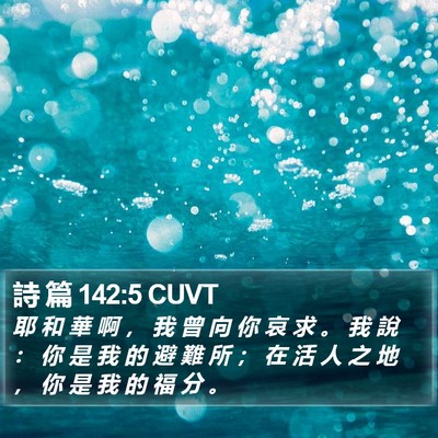 詩 篇 142:5 CUVT Bible Verse Image