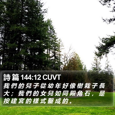 詩 篇 144:12 CUVT Bible Verse Image