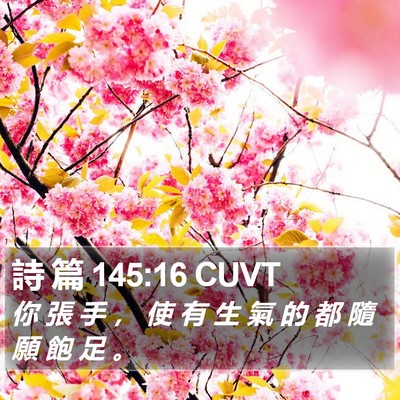 詩 篇 145:16 CUVT Bible Verse Image