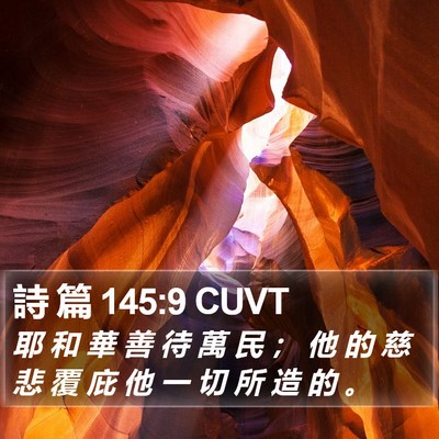 詩 篇 145:9 CUVT Bible Verse Image
