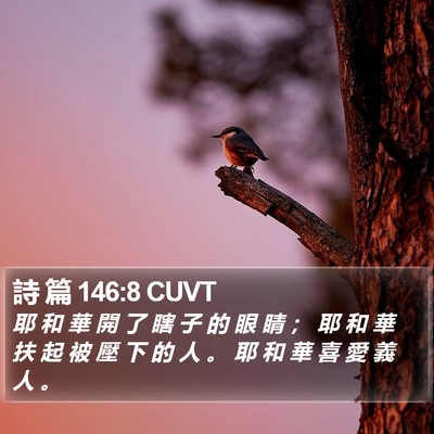 詩 篇 146:8 CUVT Bible Verse Image