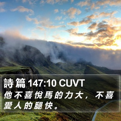 詩 篇 147:10 CUVT Bible Verse Image