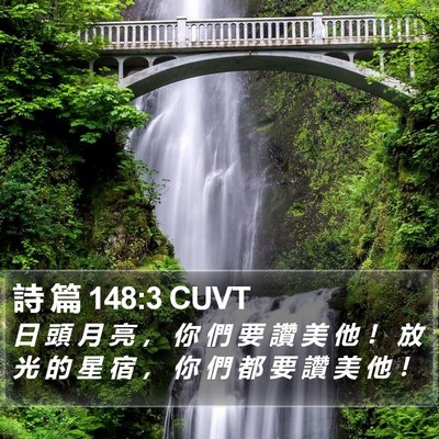 詩 篇 148:3 CUVT Bible Verse Image