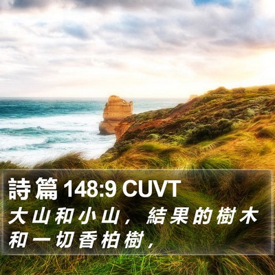 詩 篇 148:9 CUVT Bible Verse Image
