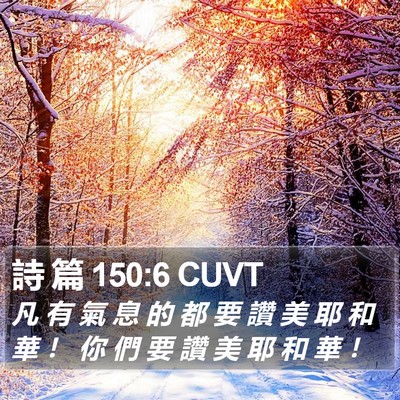 詩 篇 150:6 CUVT Bible Verse Image