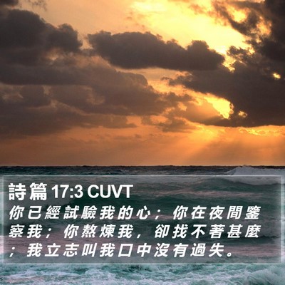 詩 篇 17:3 CUVT Bible Verse Image