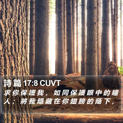 詩 篇 17:8 CUVT Bible Verse Image